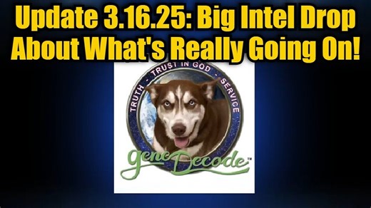 Gene Decode Update: Big Intel Drop About What'S Really Going On & How To Get Ready!!!