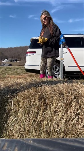 POV… I’m Texas. Spend a day at the farm with me. #ellalangley #cowgirl #georgia #horses #farm