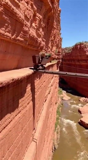 Outsmarted by a Cart: Mandrill’s High-Speed Escape Sends Leopard Over the Edge
