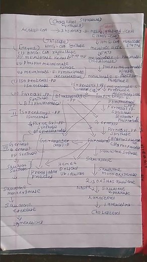 cholesterol bio synthesis(metabolism life cycle).