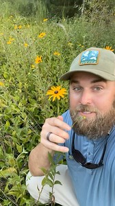 104K views · 5K reactions | This rare ecosystem can be saved while...