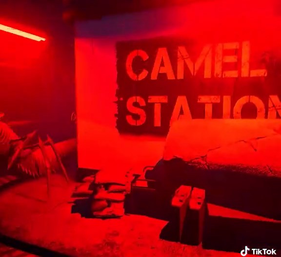 Camel Jumpscare: Understanding Zoochosis