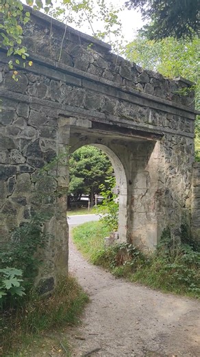 A World Without Rush: Just Nature and Peace