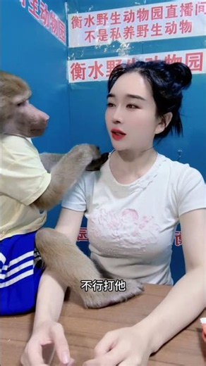Show real skills, monkey turned smart but big mistake 😅 #monkey #animals #cute #zoo #spirit #shorts