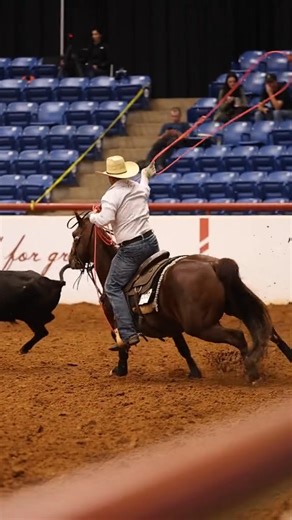 Heading to Amarillo this week for the ARHFA World Show: October 29th Futurity Heading: Draw 65 Heading on SJR Diamond Moon owned Gary and Karen Fields October 30th Futurity Heeling Draw 82 Heeling on Shiney Lookin Cat owned by Shawn and Lisa Stephens October 31st Prefuturity Heading Draw 54 Heading on Line in The San owned by Kerry Kelley Prefuturity Heeling Draw 2 Heeling on Lil Boozie owned by Nick Parish Draw 60 Heeling on Hott Metallic owned by Shawn and Lisa Stephens Ranch Fuel Classic Rope