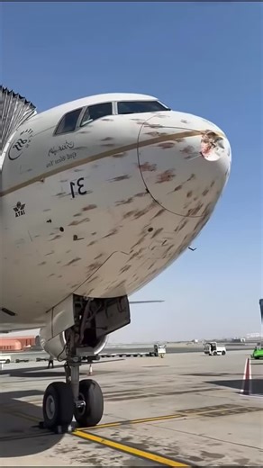 AKINOLA ADEBAYO | ✈️AVIATION CONTENT CREATOR✈️🇳🇬 on Instagram: "Bird Strike in Aviation ✈️🐦 A bird strike happens when a bird collides with an aircraft, usually during takeoff or landing. It can damage engines or windshields and even cause emergencies — like the “Miracle on the Hudson.” Airports use bird control systems to keep skies safe, because even nature can challenge aviation. #aviation #aviationlovers #avgeek #aviationsafety #civilaviation #aviationdaily #instagood #aircraft #aviationi