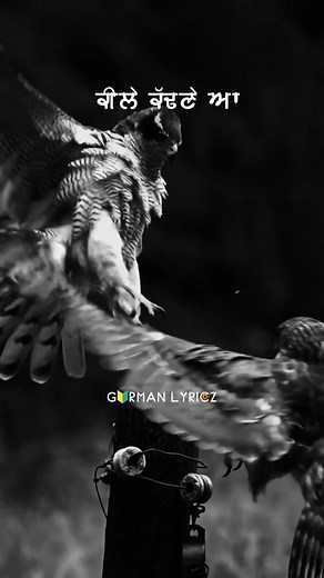 ‏😎😎😎😎😎😎😎😎😎😎😎#punjabistatus #attitudestatus