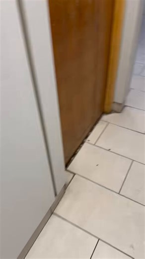 These kind of rest stop restroom layouts are the best. I know those last few ones are the best spots for action 🍆, but the first one is the best for the view 👀