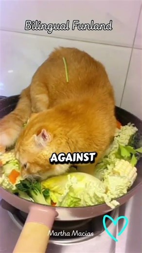 Reflections for Parents 433