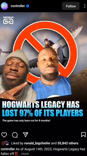 Harry Potter Hogwarts Legacy - Live Service Game Meaning and Updates