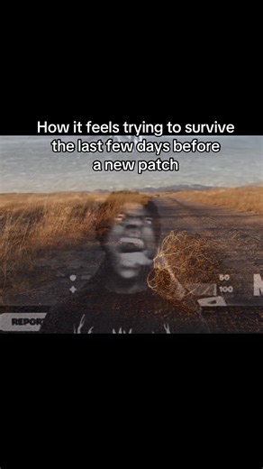 Surviving the Days Before a Genshin Patch