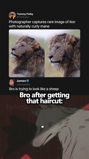 Bro Got the Sheep Cut 💀