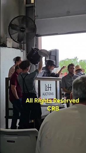 Clucking Auctioneer with the Amish selling restaurant equipment