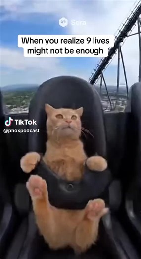 Video's van DjChartz (@djchartz) met original sound - DjChartz