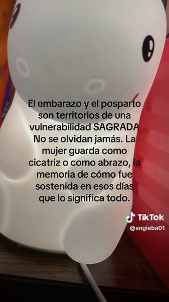 El embarazo y el posparto como territorios de vulnerabilidad sagrada