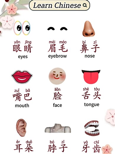 Learn Chinese Vocabulary with HSK1 Concepts