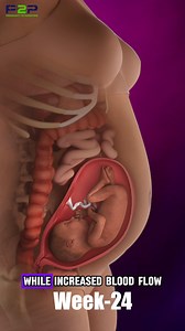 700K views · 3.3K reactions | 擄 Pregnancy transforms a mother's body in amazing ways ❤ | Pregnancy to parenting | Facebook