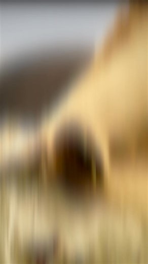 Grass-fed, pasture-raised beef delivered frozen to your door. No junk, ever. | Dude Food | Facebook