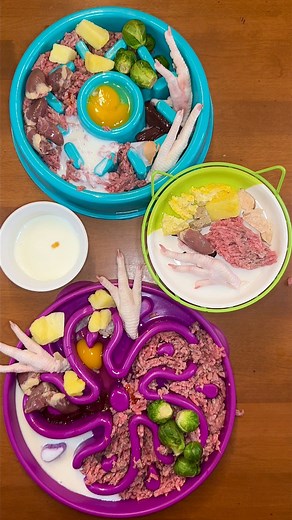 93K views · 1.4K reactions | My raw fed dogs’ dinner 數 #dogs #dogmom #dogfood #rawfeddog #dog #dogtreats #kibble #reels | Kayla Kowalski Nutrition | Facebook