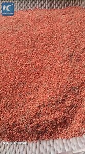 Osmanthus blossoms are not only beautiful; they can also be made into delicious food. | China Xinhua News