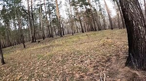 International Legion Fighters In Heavy Firefight With Russian Forces Backed By T-90 Tank In Bakhmut Support Our Work:- buymeacoffee.com/ukraineunited #ukrainenews #invasion #freedom #russiaukraine #ukrainian #zelensky #biden #democracy #peaceforukraine #stopthewar #supportukraine #politics #ucrania #kremlin #poland #europe #ukrainerussiawar #warzone #russianwar #ua #donbass #kherson #ukraineunited5 | Ukraine United