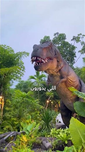برنامج بوكيت تايلاند