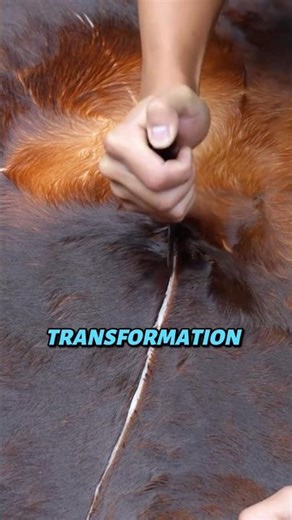 The Cowhide's Hidden Purpose Will Surprise You 🤯!