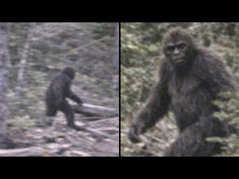 Bigfoot Filmed in a Remote Mountain Forest | Bigfoot Sightings
