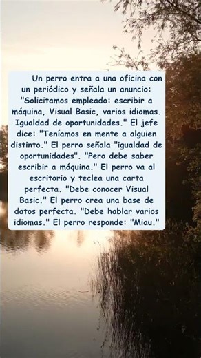 Perro busca trabajo en oficina... demuestra todas las habilidades menos una!