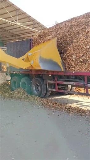 Massive Wood Chip Loading: Heavy-Duty Wheel Loader in Action!