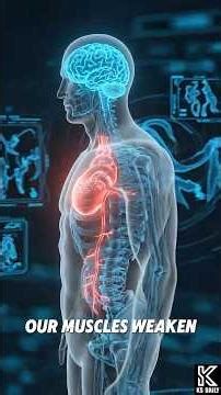 Can humans hibernate like bears