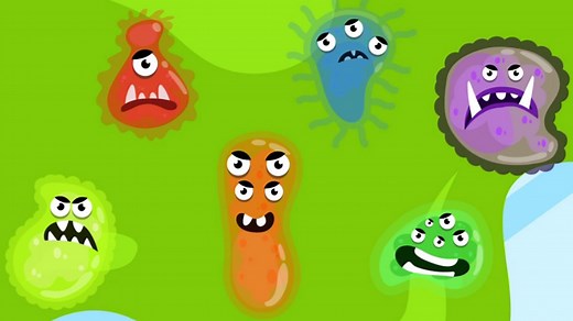 What is a microorganism? - BBC Bitesize