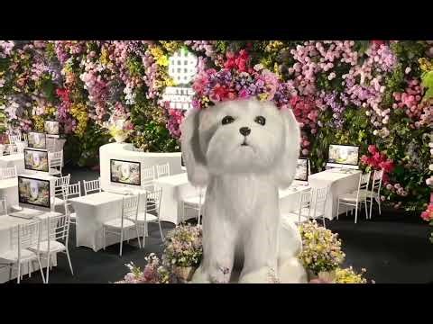 Spring Wedding Surprise: Puppy Joins the Celebration