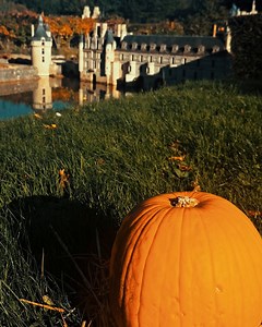 19K views · 556 reactions |  France Miniature vous attend pour un Halloween monumental ️ En famille, oserez-vous explorer une France mystérieuse ? Rencontrez des créatures inattendues, frissonnez dans Koh-Lanta : Le Camp Maudit et affrontez nos terribles attractions.  | France Miniature | Facebook