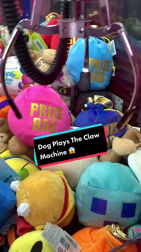 TYE Arcade on TikTok