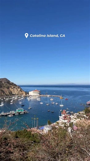 Seaside views, charming streets and island vibes... Catalina Island is calling. 🌊 🏖️ Plan your next escape with our travel agency today. ☀️ #AmericanAdventures #TravelBetter | Yankee Trails