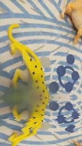 the lion king 2 crocodile attacks 2