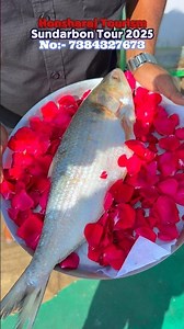 শীতকালে সুন্দরবন ভ্রমণ 🐊🐯 | Sundarban Tour | Sundarban Tour Package 2025 #sundarbantour