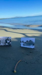 566 reactions · 3 comments | Some photo of the guadalcanal campaign of ww2 #ww2 #normandyrelics #guadalcanal #pacific #war | Normandy Relics | Facebook