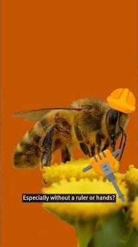 How do bees make such perfect hexagons? #science #bees #shorts #honeycomb #maths #sciencefacts