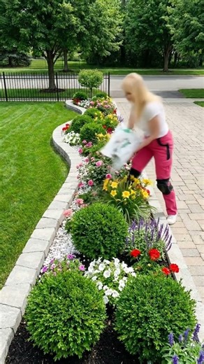 Simple Flower Bed Planting Everyone Can Do #gardening #gardendelight #diy