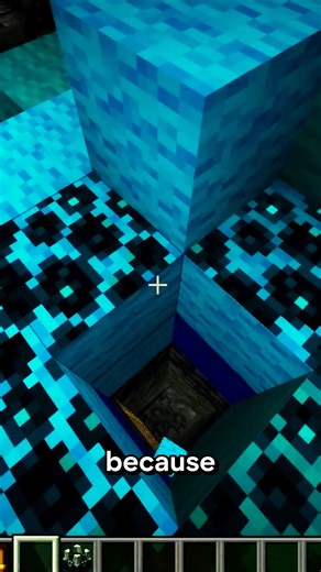 Minecraft's Rarest Secrets | PrestonPlayz