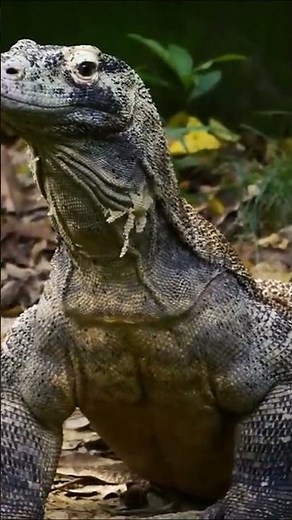 L'origine dei dinosauri: come è avvenuta realmente la storia dei dinosauri #terra #documentario