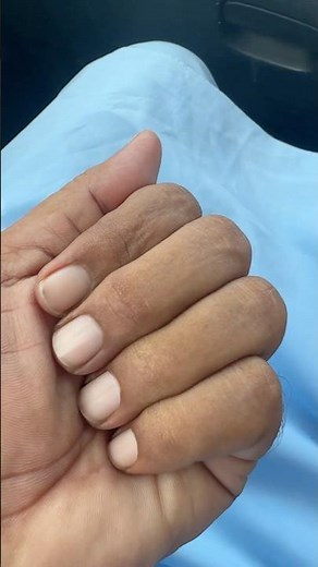 The video shows a bud of a Damask rose (Rosa x damascena) #viral