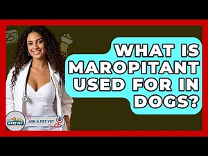 What Is Maropitant Used For In Dogs? - Ask A Pet Vet