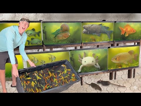 I Saved Animals From an Abandoned Pet Store!