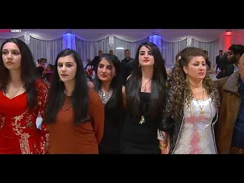 غسان اسعد- رقص كردي نااار | Hunermend Xesan Essad - Dilana Kurmanci By Star Video