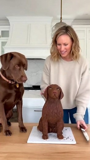 43K views · 187 reactions | Dog vs Cake Prank!  You Won’t Believe His Reaction!"#DogPrank #FunnyDogs #CakePrank #PetReaction | Spine Health Care | Facebook