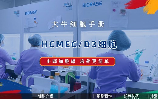 丰晖生物细胞库培养手册——HCMEC/D3细胞培养，人脑微血管内皮细胞培养攻略。