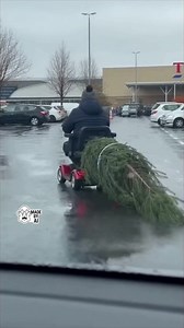 Tesco car park realism: mobility scooter vs. Christmas tree 🎄🛴 | Grumpy Old Gits